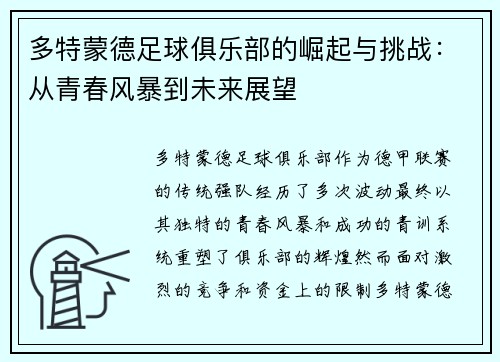 多特蒙德足球俱乐部的崛起与挑战：从青春风暴到未来展望