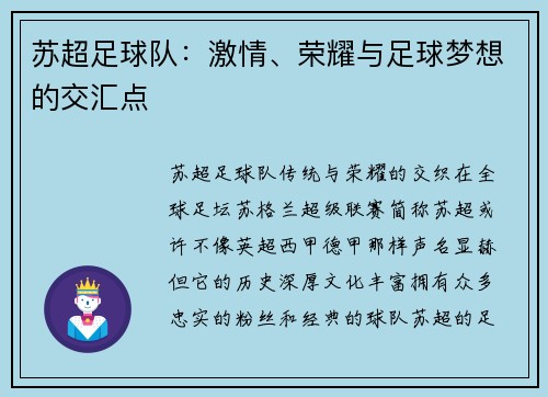 苏超足球队：激情、荣耀与足球梦想的交汇点