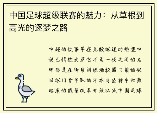 中国足球超级联赛的魅力：从草根到高光的逐梦之路