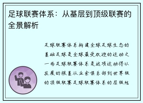 足球联赛体系：从基层到顶级联赛的全景解析