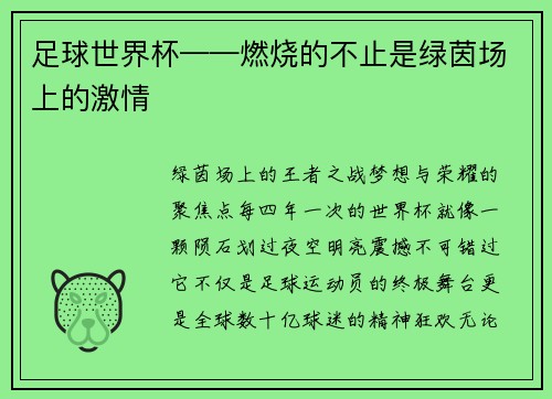 足球世界杯——燃烧的不止是绿茵场上的激情